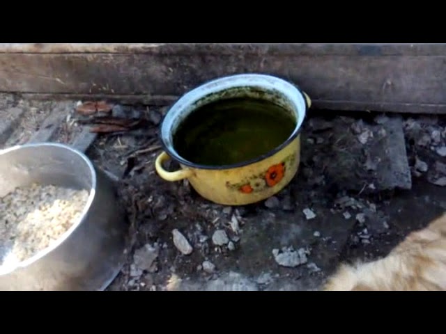 Бытовуха вокруг Цветения