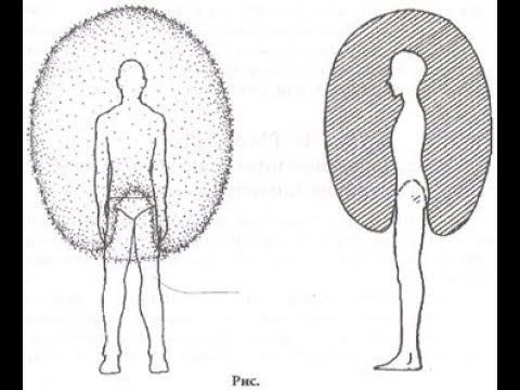 К какой чакре относятся эмоции обиды? Андрей Верба