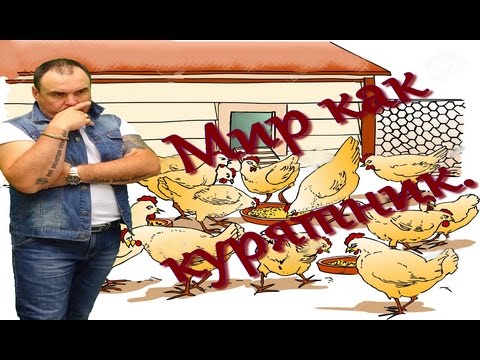 Мир как курятник.  Виктан.