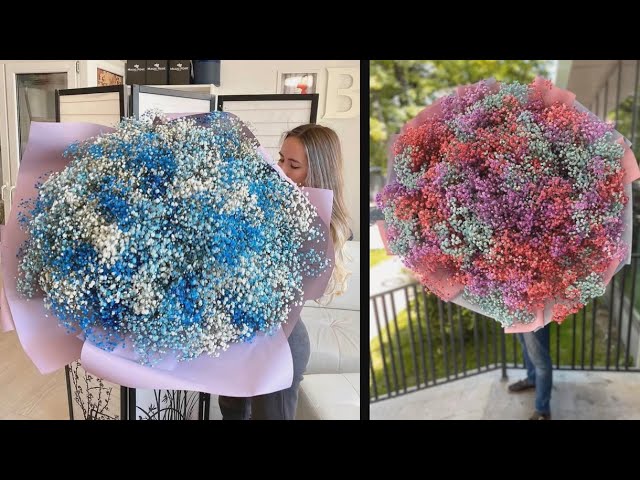 Как вырастить гипсофилу 2 продолжение