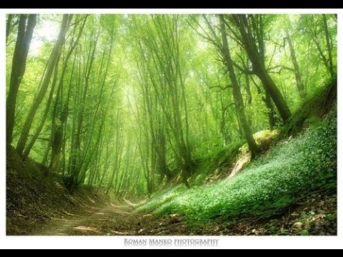 Что даёт человеку практика силовой психорегуляции. Рудияр