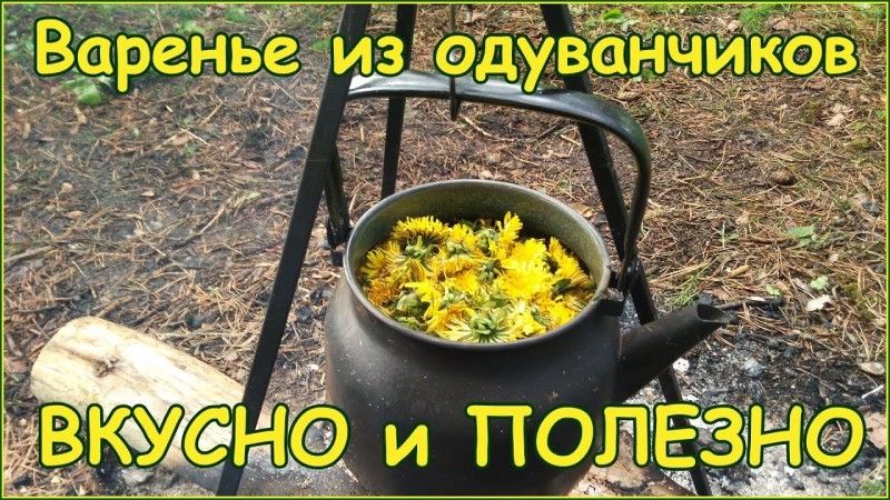 КАК Я СДЕЛАТЬ СУПЕР ПОЛЕЗНОЕ ВАРЕНЬЕ ИЗ ОДУВАНЧИКОВ