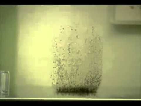 Блохи и банка. Ограничения нашего мышления...