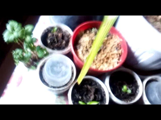 Рывками вокруг быта