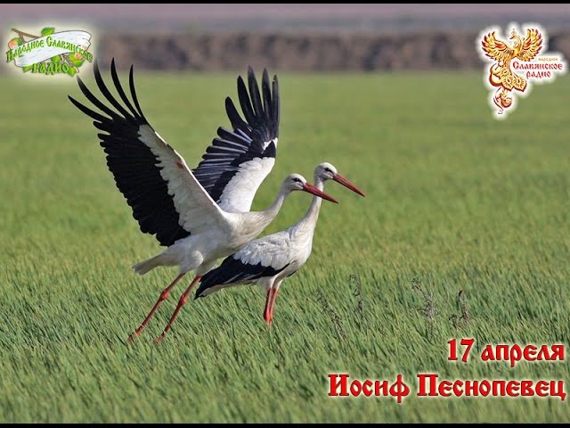 Братья-месяцы. 17 апреля - Иосиф Песнопевец