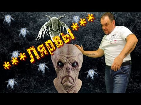 Кто такие лярвы. Как мы их создаем. Виктан.