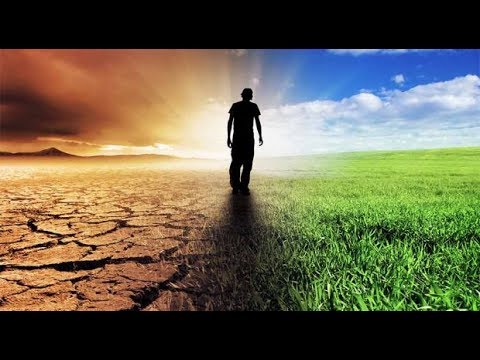 Методики работы с гневом. Ведический взгляд. Алексей Махов