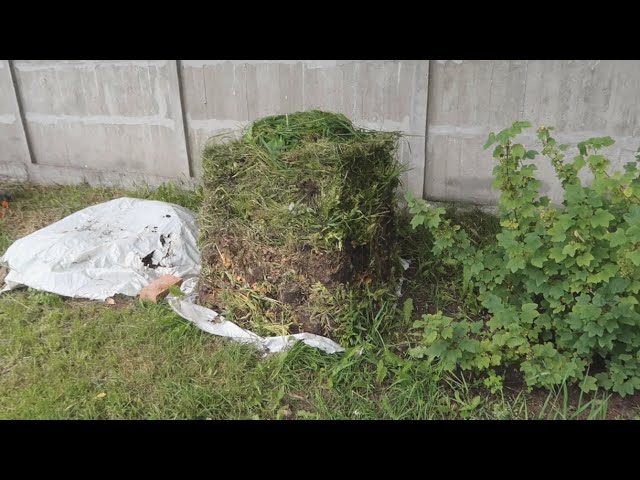 Вот так человек может наделать много удобрения на своем участке