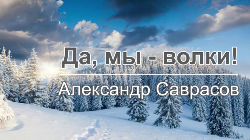 Александр Саврасов "Да, мы - волки!"