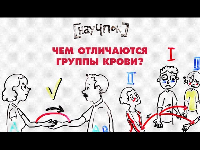 Чем отличаются группы крови — Научпок