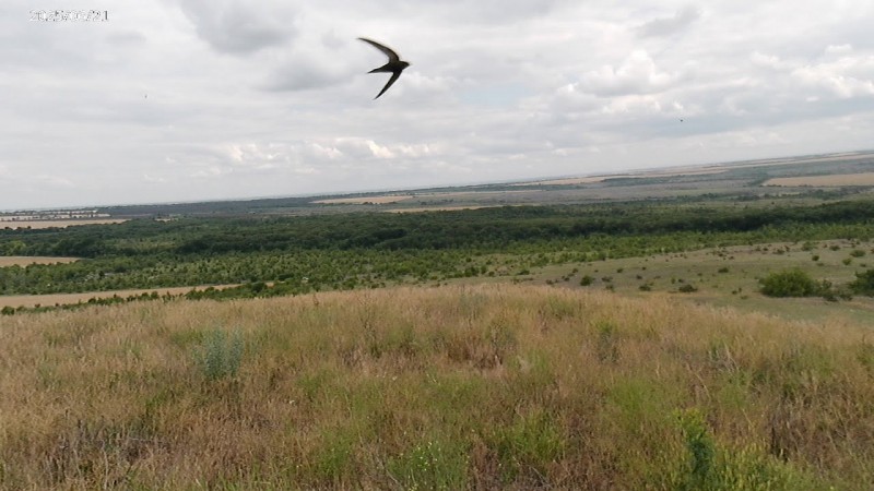 581 29.06.2025 Посещение Саур Могилы 4К ч.5 20250621_174316