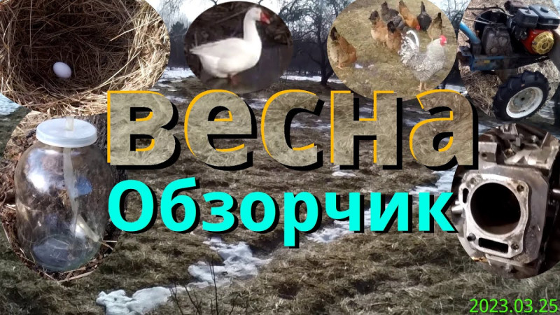Весна 23.03.25 Гуси, куры, кленовый сок, мотоблок, трансмиссия, движок.