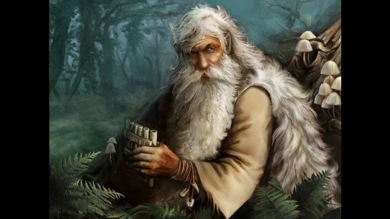 Леший лесовик, лешак, Хранитель Леса