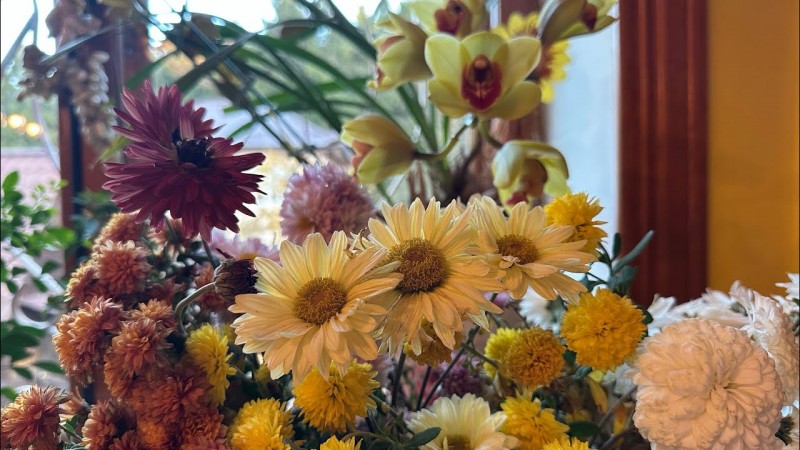 Осень на даче . Обзор подоконников с цветами и перцами. Готовлю соусы. Укореняю хризантемы.