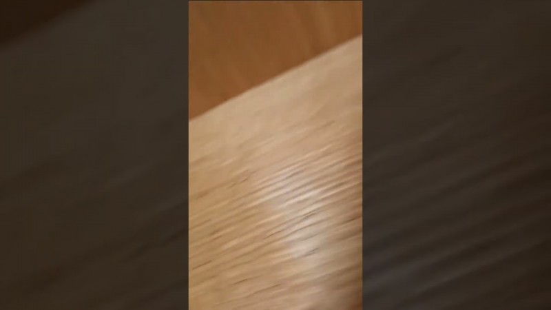 TRUST TRAST КОНТРАКТ ЖИЗНЕОБЕСПЕЧЕНИЯ ДАРЕНИЕM АНУЛИРОВАЛА  ЖИВА ДУША INGAAUSTI VIVO КАЗЪ УКАЗЪ РОТА