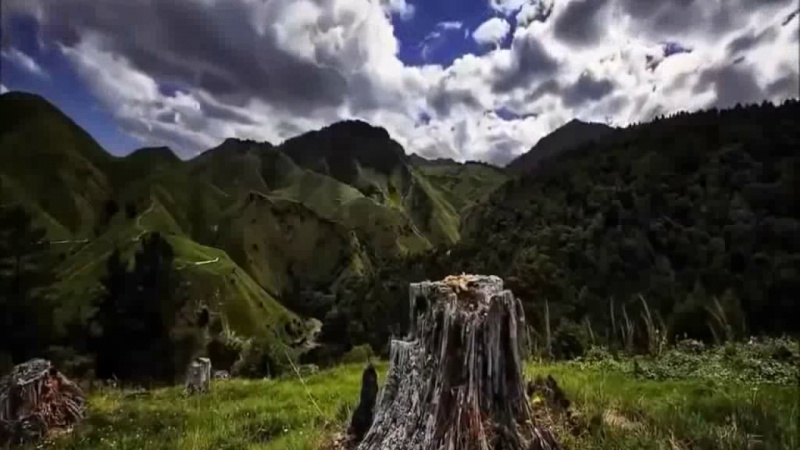 Моя Земля - Виталий и Наталья Сколовы