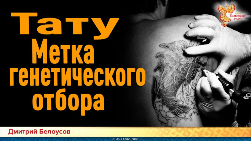 Дмитрий Белоусов. Тату. Метка генетического отбора