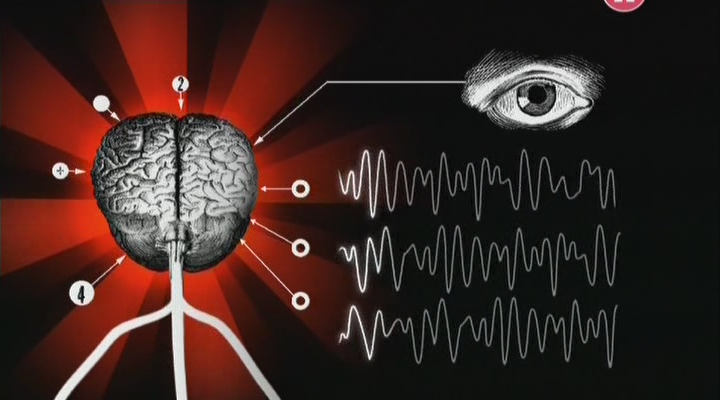 Дрёма. Когда мозг погружен в себя / Sleepiness. When your brain has a mind of its own