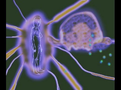 Как энергетические паразиты связаны с болезнями. Алексей Трёхлебов