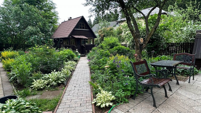 Прогулка по любимому саду . Полезные и красивые растения в моем саду . Засадила весь огород