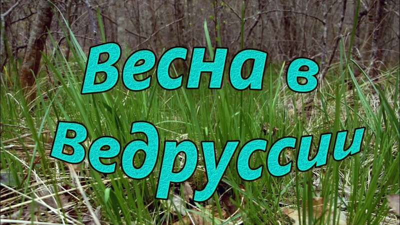 Весна в Ведруссии