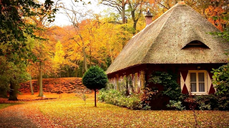 Шедевры инструментальной музыки