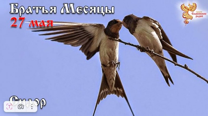 Братья месяцы 27 мая - Сидор