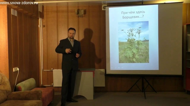 Причина возникновения заболеваний. Школа здоровья Гармония