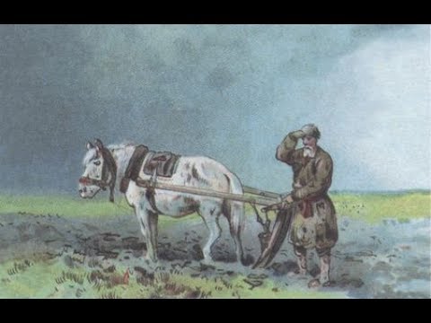 Русское земледелие и академик Николай Иванович Вавилов. Борис Володарский