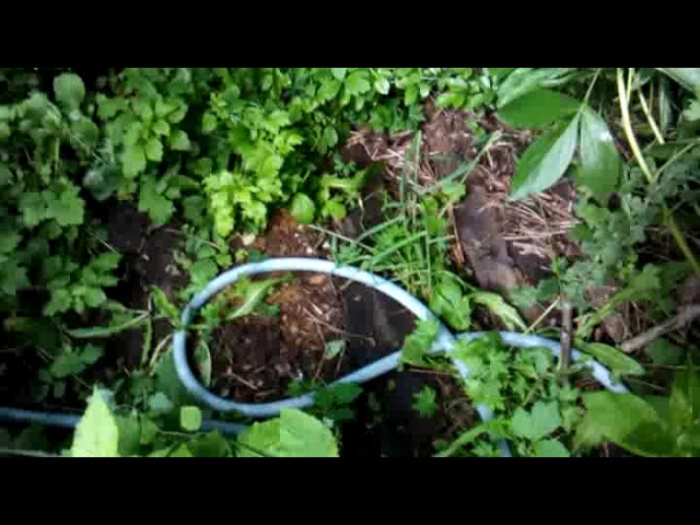 СадоЛес и Быт в Нём