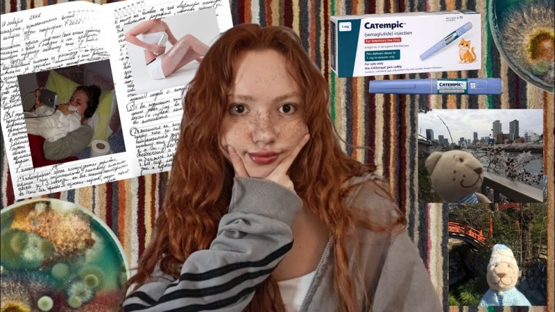 предсказываю тренды 2026 (+доказательства) (успевай стать олдом)