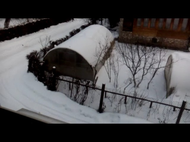 СуществоВыживание и Бытность