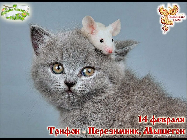 Братья-месяцы. 14 февраля- Трифон - Перезимник, Мышегон