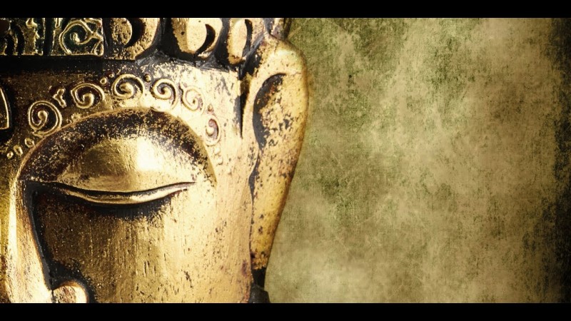 Ошибка Будды. Двойные стандарты. Антон Поддубный