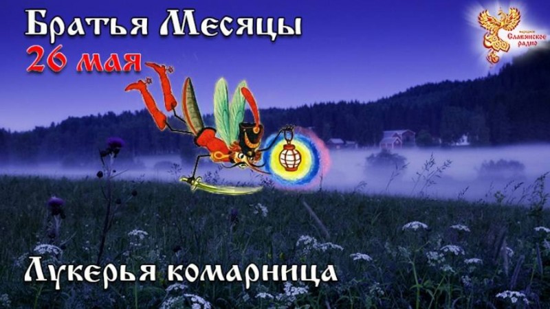 Братья месяцы 26 мая - Лукерья комарница