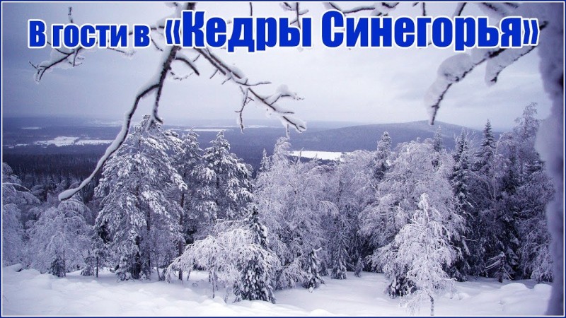 В гости в Поселение Родовых поместий Кедры Синегорья январь 2019
