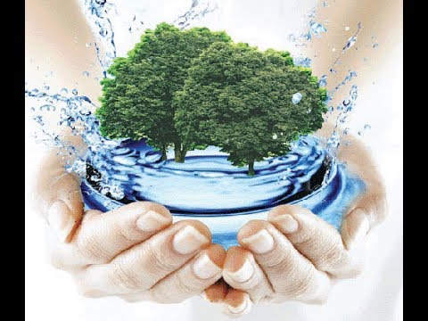 Моё водолечение (Себастьян Кнейп). Борис Володарский