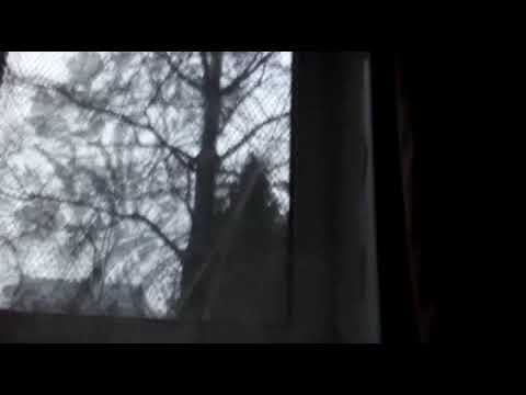 Моё На Сей Момент о Разном