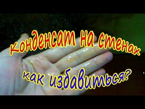 Конденсат на стене...как с этим бороться?
