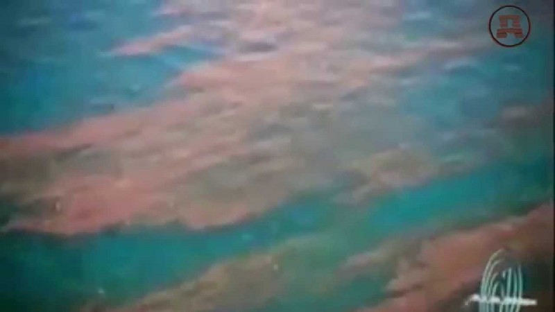 Глобальное отупление