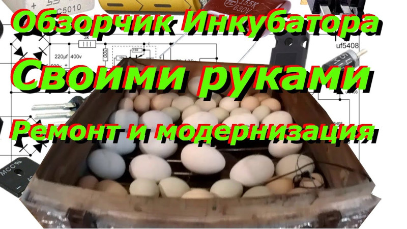 Инкубатор история, обзор, ремонт и модернизация.