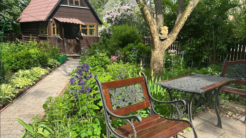 Моя дача в июне . Обзор сада , огорода и теплиц . Огород почти засажен .