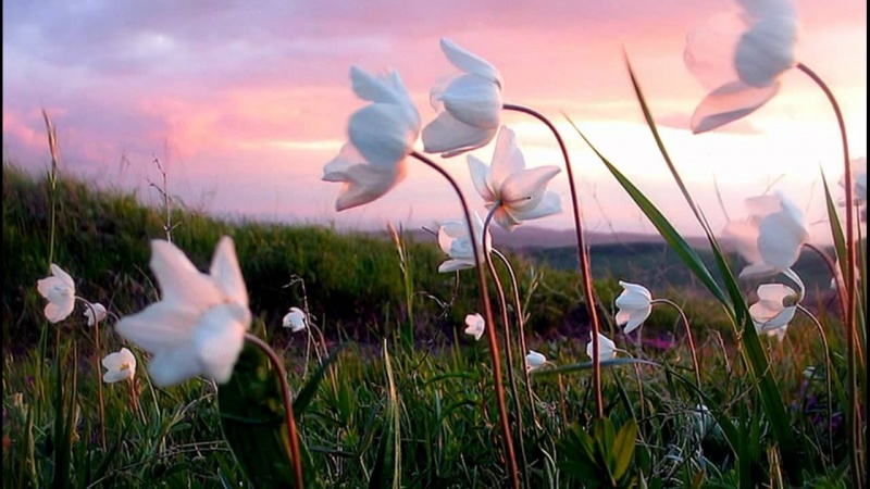 ПОЛЕТ    ДУШИ ...