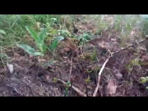 Порой без В и На никуды