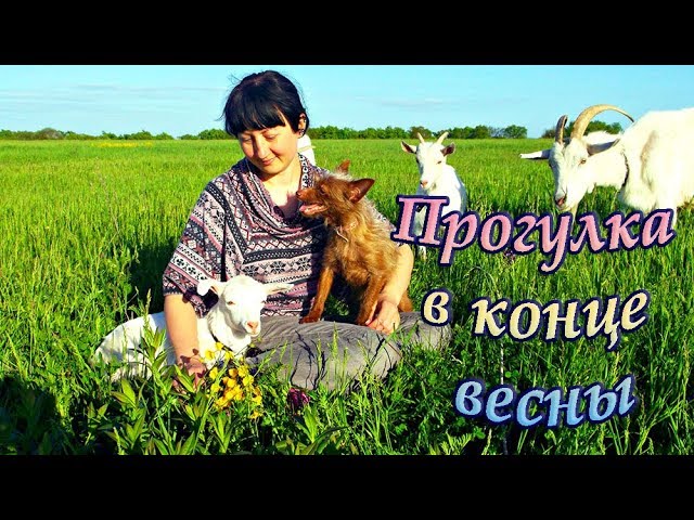 Прогулка в конце весны