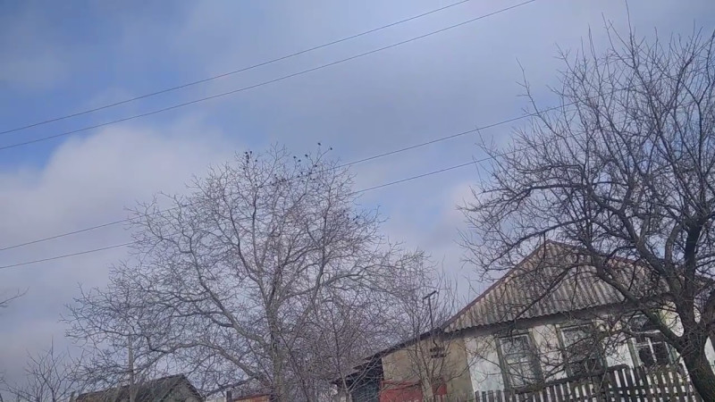 22.03.2024 Скворцы Поют.