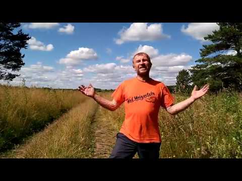 Середина августа 2017 и отпуска в Родовом поместье Ве Лес