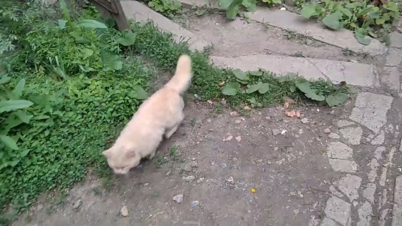 14.05.2025 Пушина.