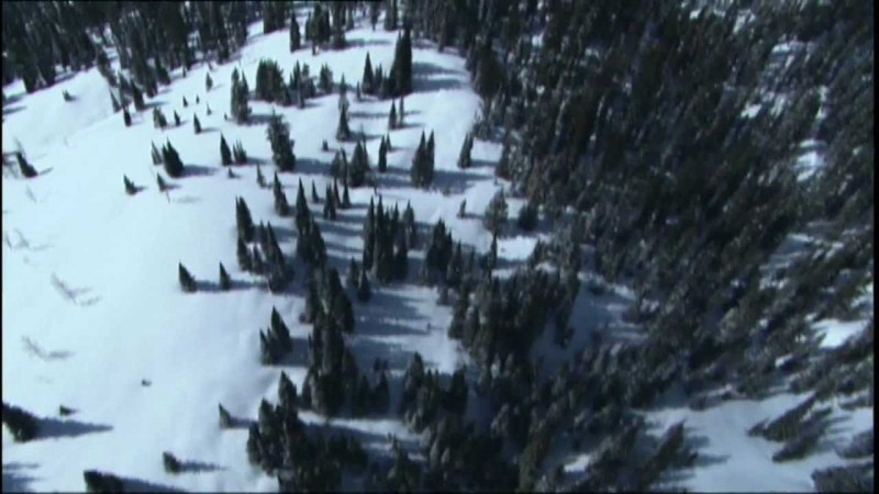 Волк - Группа "Виктор"