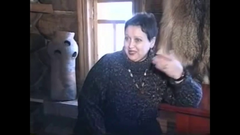 С В  Жарникова   цикл интервью